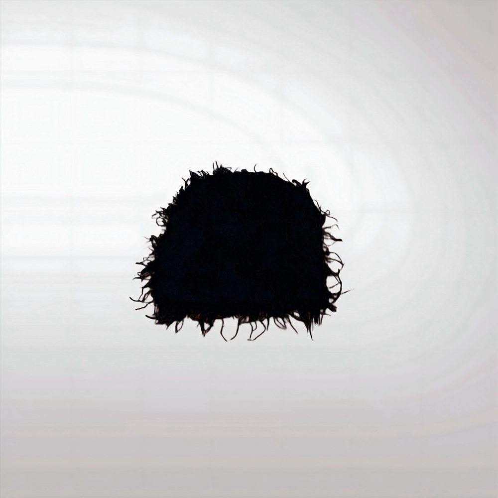 Black Hair Accessory